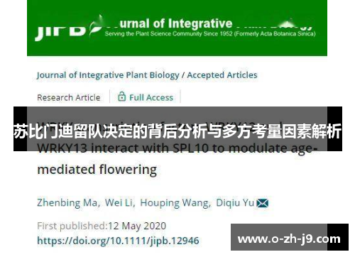 苏比门迪留队决定的背后分析与多方考量因素解析 苏比门迪留队决定的背后分析与多方考量因素解析