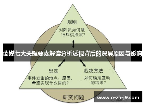 葡媒七大关键要素解读分析透视背后的深层原因与影响