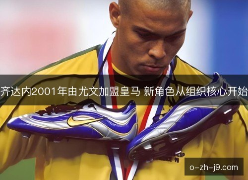 齐达内2001年由尤文加盟皇马 新角色从组织核心开始